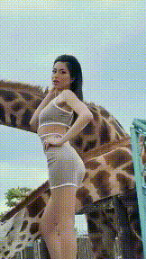 16703643556667.gif